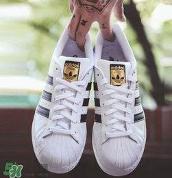 adidas貝殼頭正品多少錢？阿迪達(dá)斯貝殼頭鞋專柜價格