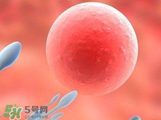 捐20顆卵子會(huì)怎么樣？捐20顆卵子有什么后果？