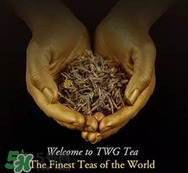 twg茶哪個最經典？twg茶葉哪個好喝？