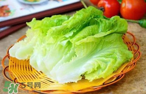 生菜可以放冰箱嗎？生菜可以放冰箱多久？