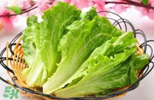 生菜可以放冰箱嗎？生菜可以放冰箱多久？