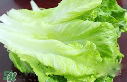 生菜可以放冰箱嗎？生菜可以放冰箱多久？