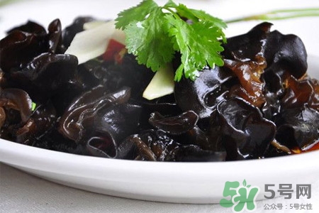 黑木耳可以隔夜吃嗎？黑木耳能過夜吃嗎？