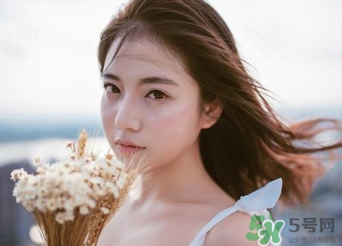 酢漿草怎么讀？酢漿草與三葉草的區(qū)別