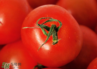 五月份吃什么蔬菜？5月份吃什么蔬菜？