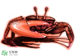 五月份可以吃螃蟹嗎？5月份可以吃螃蟹嗎？