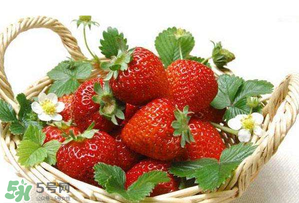 五月份還有草莓嗎？5月份還有草莓嗎？