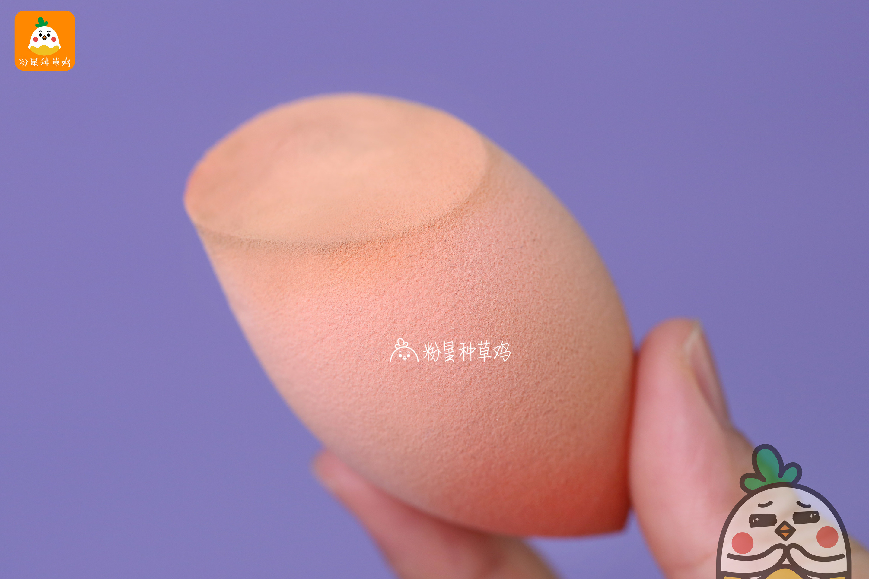 beauty blender美妝蛋和rt美妝蛋哪個好？