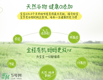 禧貝米粉二段味道怎么樣？禧貝米粉二段味道如何？