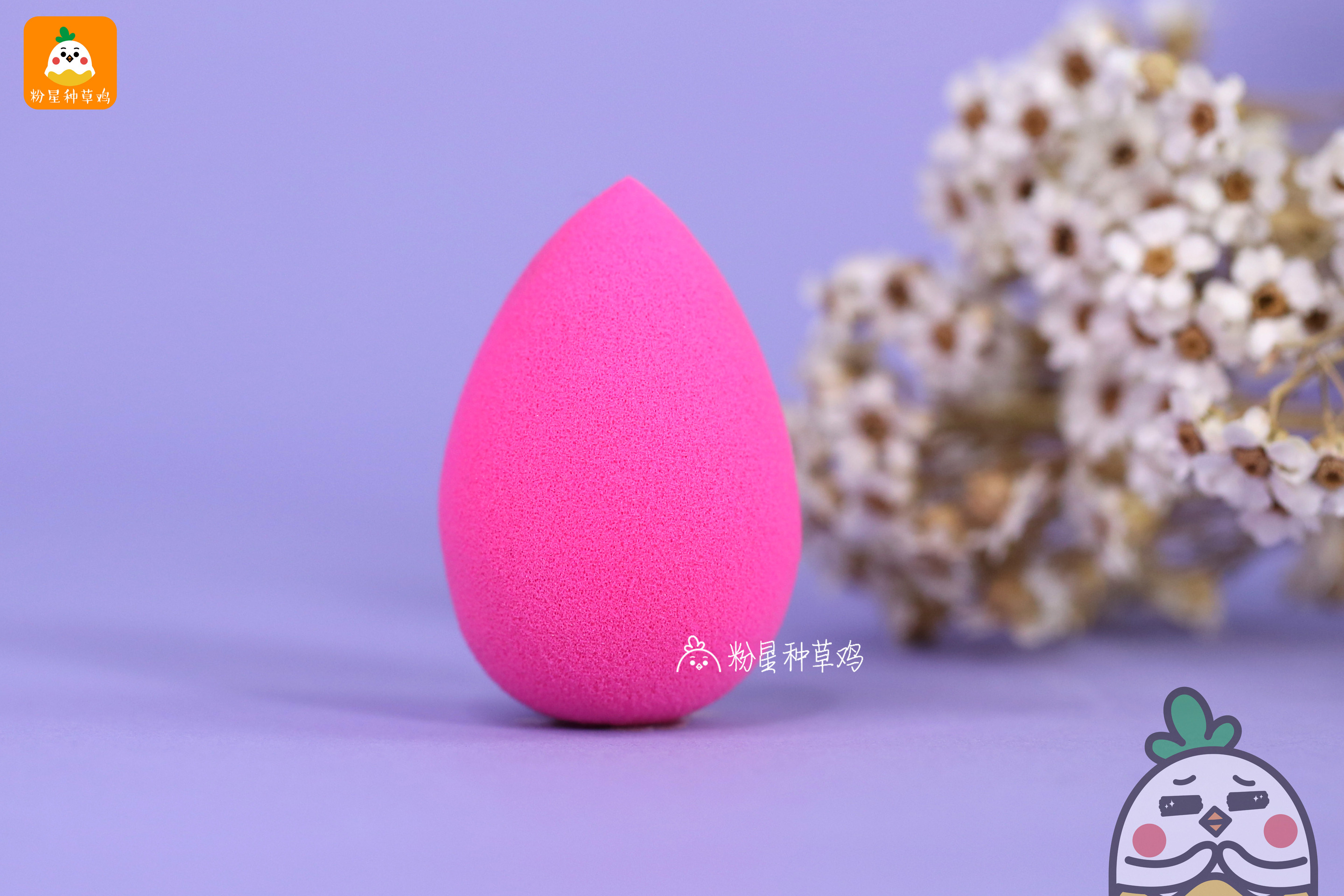 beauty blender美妝蛋和rt美妝蛋哪個好？