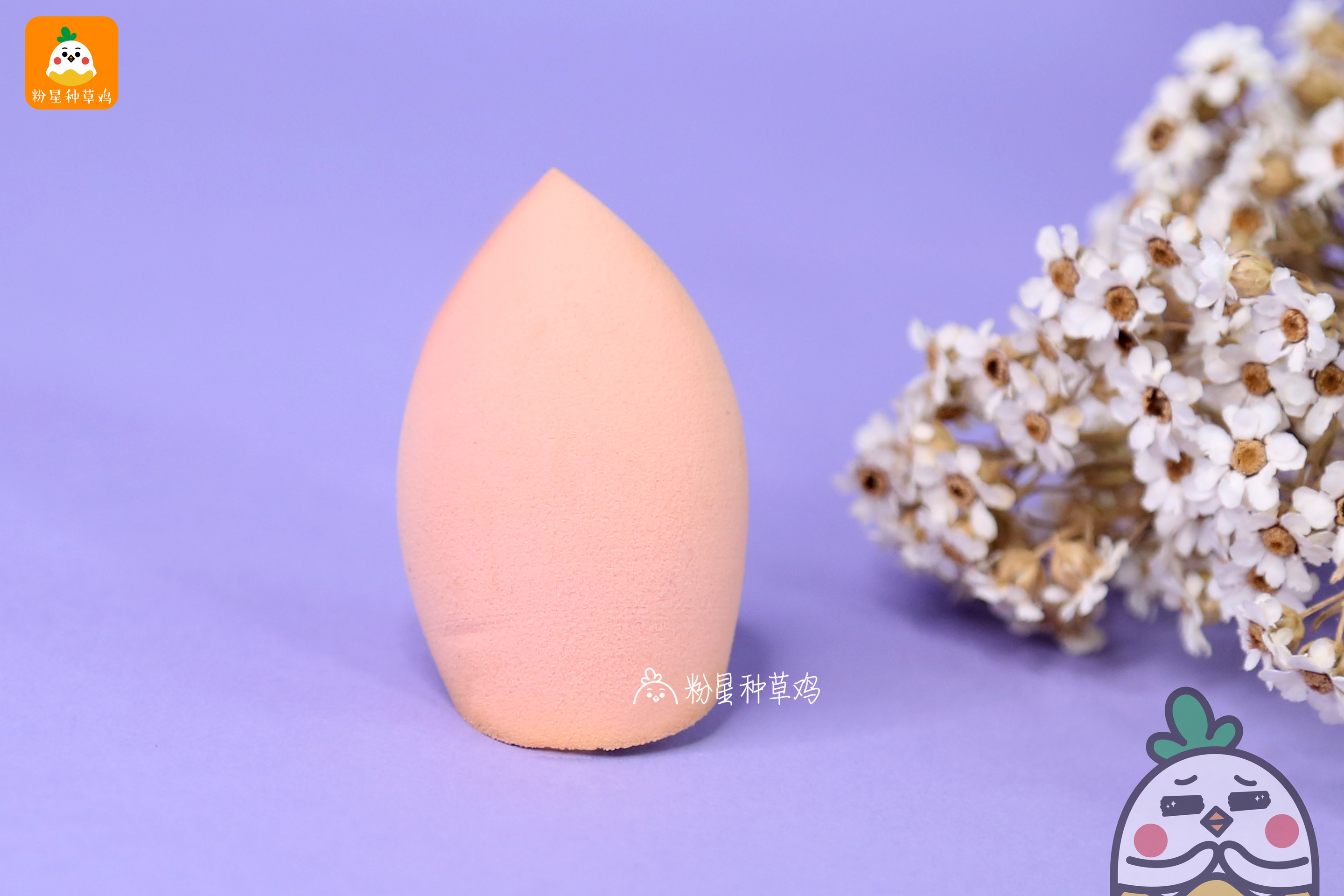 beauty blender美妝蛋和rt美妝蛋哪個好？