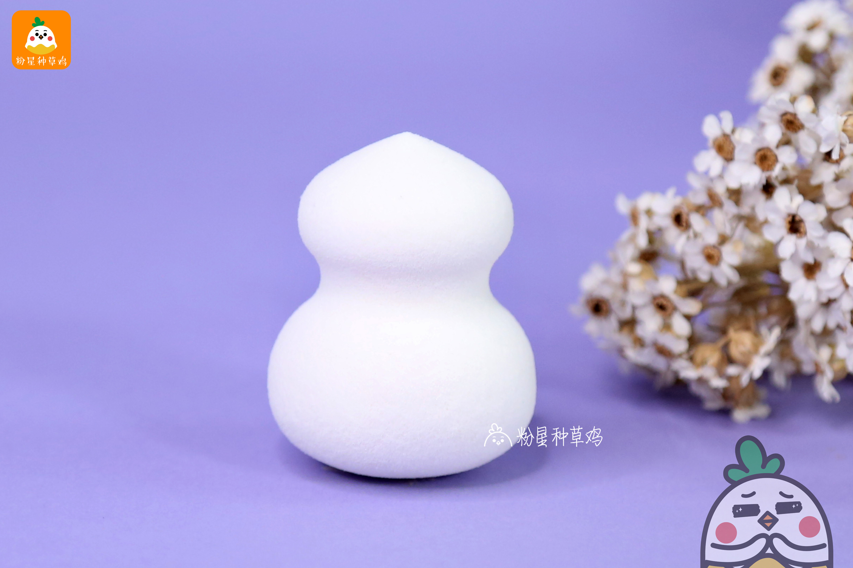 beauty blender美妝蛋和rt美妝蛋哪個好？