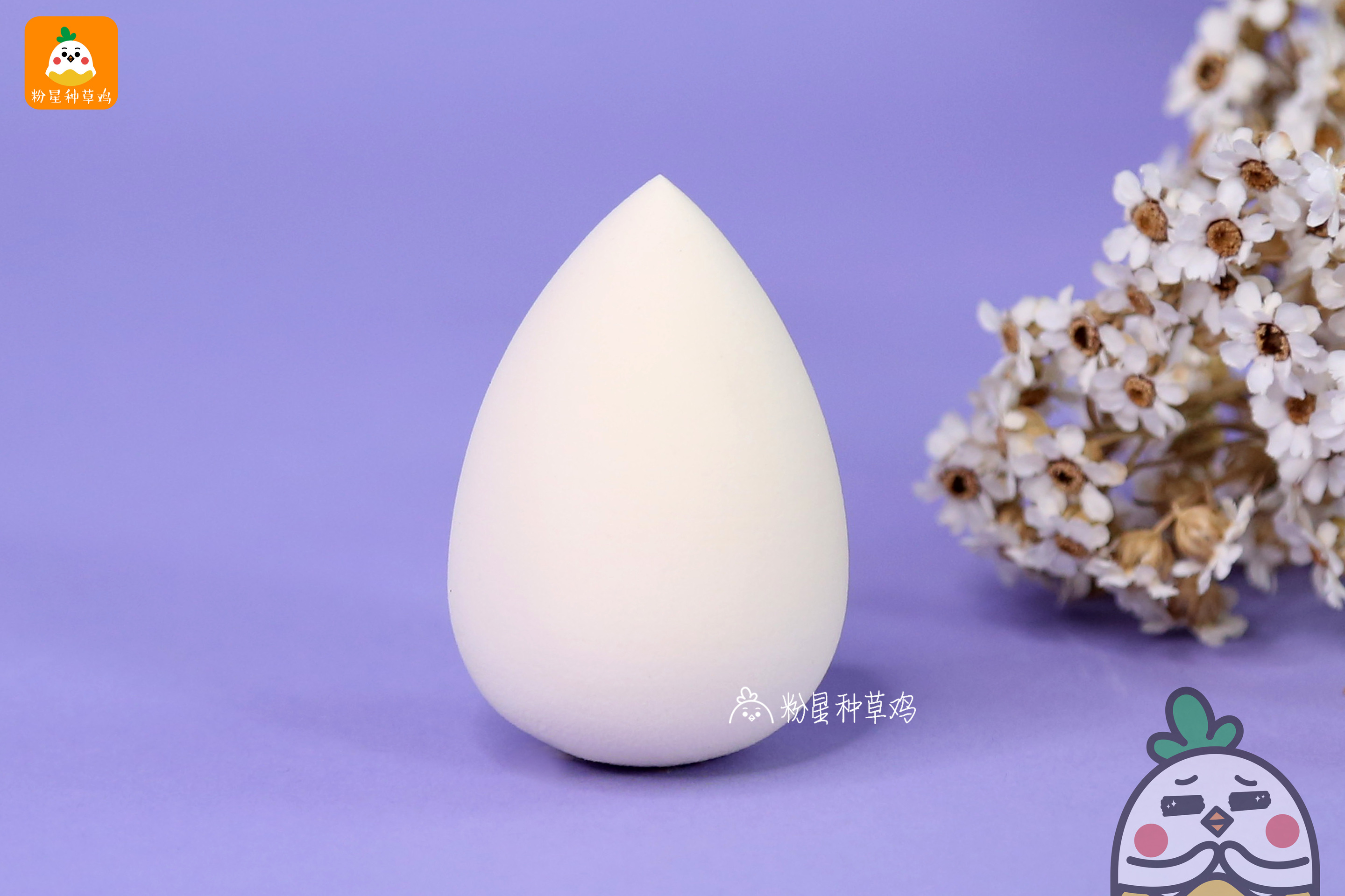 beauty blender美妝蛋和rt美妝蛋哪個好？