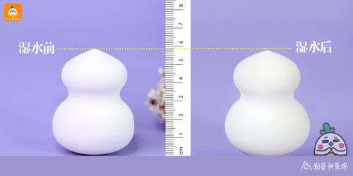 beauty blender美妝蛋和rt美妝蛋哪個好？