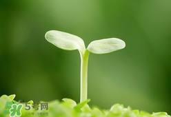 甲醛檢測(cè)儀哪個(gè)牌子好？哪個(gè)牌子的甲醛檢測(cè)儀好？