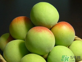 青梅什么時(shí)候成熟？青梅幾月份成熟？