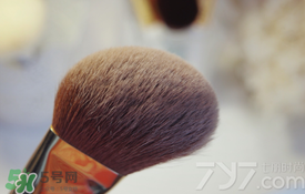 受受狼是哪個(gè)國(guó)家的？受受狼化妝刷推薦