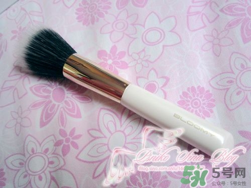 bloomy老爺家化妝刷哪款好？bloomy化妝刷推薦