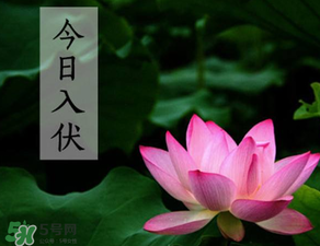 2017年頭伏是哪一天？2017年什么時候入伏？