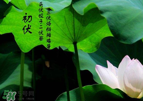 2017年頭伏是哪一天？2017年什么時候入伏？