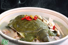 懷孕初期能吃甲魚嗎？懷孕初期可以吃甲魚嗎？