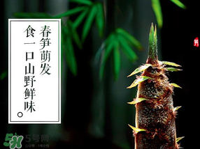 春筍多少錢一斤？春筍多少錢一斤2017？