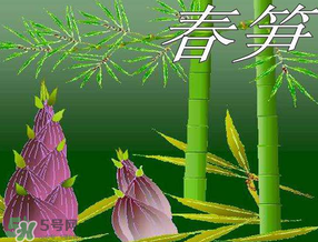春筍多少錢一斤？春筍多少錢一斤2017？
