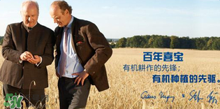 喜寶米粉怎么樣？喜寶米粉如何？