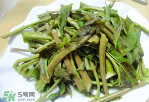 香椿為什么要焯水？香椿怎么焯水？