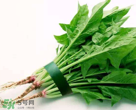 孕婦可以吃菠菜嗎？孕婦菠菜吃多了會怎樣？