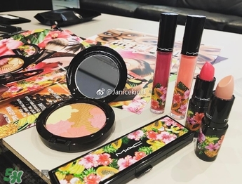 mac2017夏季fruity juicy系列有哪些？