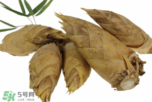 竹筍什么時候長出來？竹筍幾月份長出來？