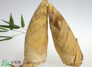 竹筍什么時候長出來？竹筍幾月份長出來？