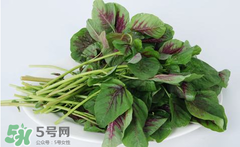 孕婦能吃莧菜嗎？孕婦可以吃莧菜嗎？