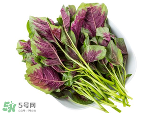 孕婦能吃莧菜嗎？孕婦可以吃莧菜嗎？