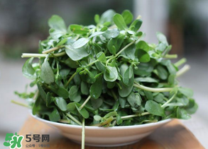 馬齒莧能治白發(fā)嗎？馬齒莧可以治白發(fā)嗎？