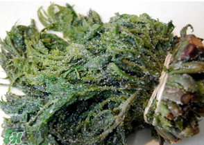 香椿腌制多久可以吃？香椿腌多長時間能吃？