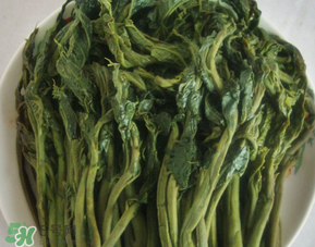 香椿腌制多久可以吃？香椿腌多長時間能吃？