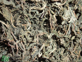 香椿可以曬干嗎？香椿怎么曬干？