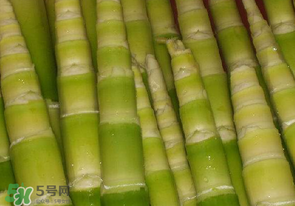 竹筍不焯水有毒嗎？竹筍不過(guò)水能吃嗎？
