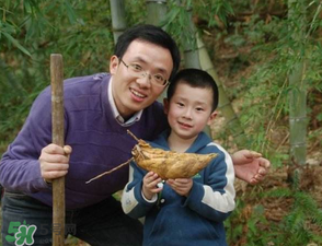 竹筍什么時候挖？竹筍幾月挖？
