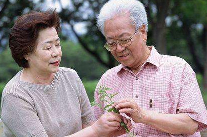 高血脂能不能吃雞蛋？血脂高可以吃雞蛋嗎