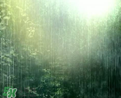 四月份會一直下雨嗎？2017年四月份為什么一直下雨？
