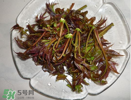 涼拌香椿要過水嗎？香椿涼拌前需要用開水焯一下嗎？