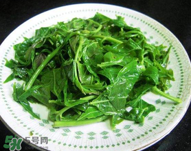 香椿生吃有毒嗎？香椿生吃好還是熟吃好？