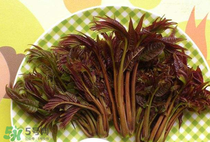 香椿芽可以冷凍嗎？香椿芽怎么冷凍？