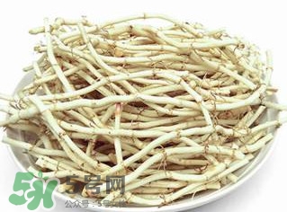新鮮魚腥草怎么煮水？魚腥草怎么煮水喝