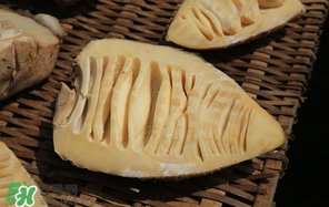 竹筍什么時(shí)候有？竹筍什么時(shí)候最好吃？