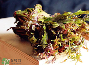 香椿很貴嗎？香椿為什么那么貴？