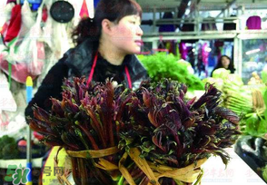 香椿很貴嗎？香椿為什么那么貴？